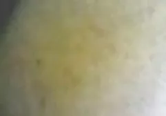 Biały zerżnęli czarnym członkiem seks grupowy darmowe filmy