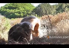 2plum darmowe filmy swingers