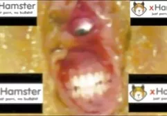 Pies sex grupowy filmy darmowe